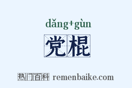 党棍是什么意思的图片